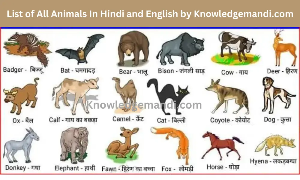 100+ Animals Name in Hindi and English with Pictures and PDF