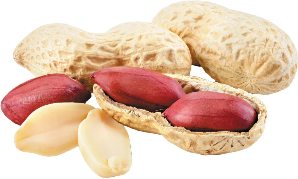 Peanuts dry fruit