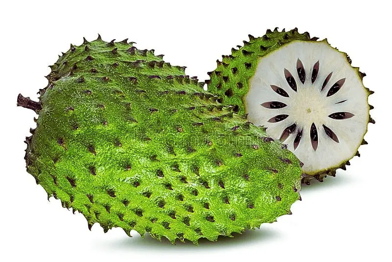 Soursop fruit